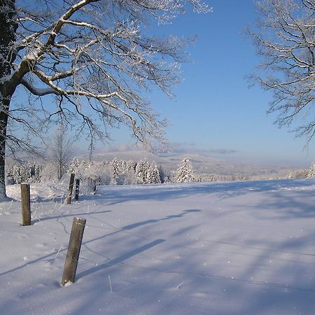 Luxury Apartment In Sumava Mountains Kristanov Buitenkant foto
